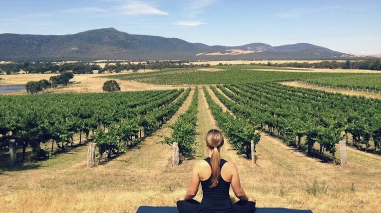 Yoga in the vineyards